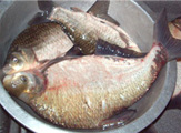 阳澄湖农家菜82