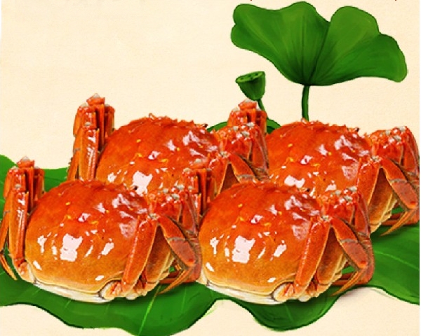 莲花岛蟹蟹