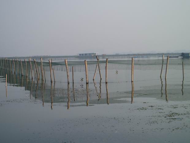 阳澄湖大闸蟹