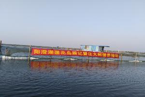 顾记蟹庄养殖场84