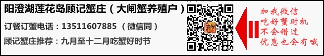 阳澄湖大闸蟹